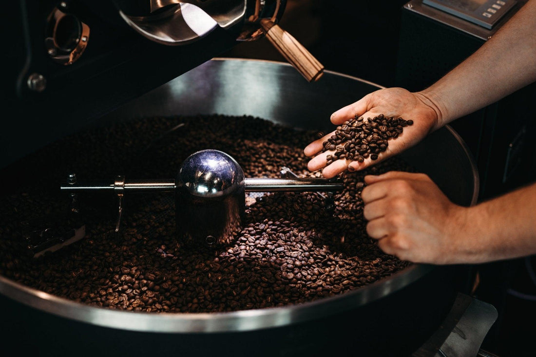 The Art Of Coffee Roasting - Cafe Degen