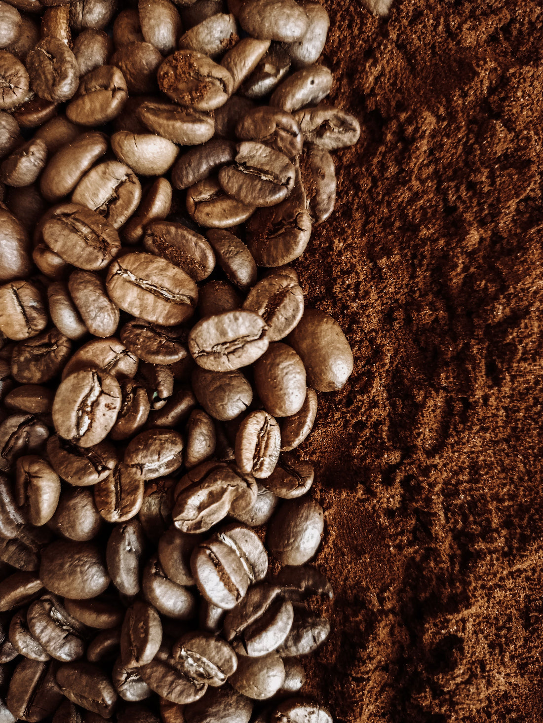 Whole Bean vs. Ground Coffee: Does Grinding Fresh Really Matter?